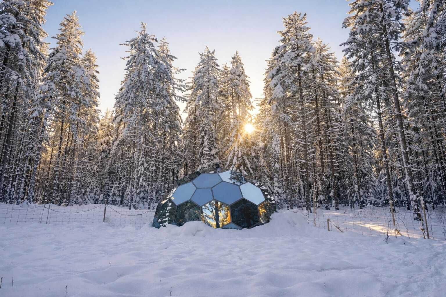 A snow-covered forest with a geodesic dome structure in the center.