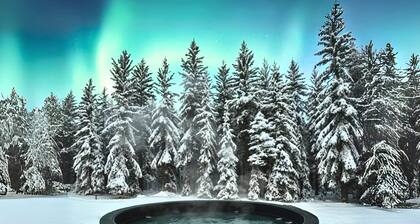 SKOG - Aurora igloos