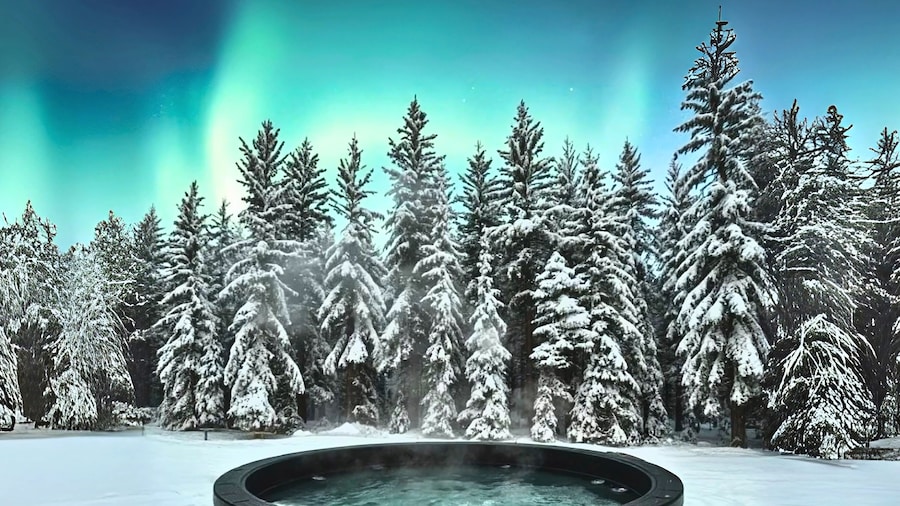 SKOG - Aurora igloos