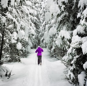 Ski