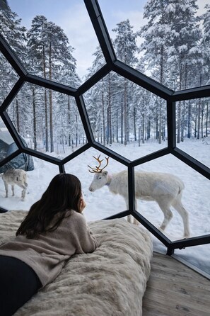 Signature Suite, Garden View | Hypo-allergenic bedding, memory-foam beds, individually decorated - SKOG - Aurora igloos (Kalix)