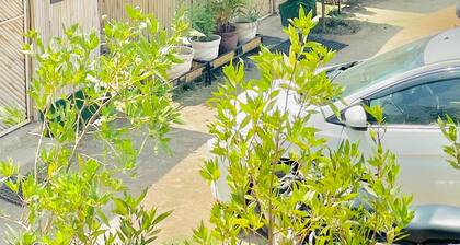 Bambooz Bel cottage and camps Kasauli