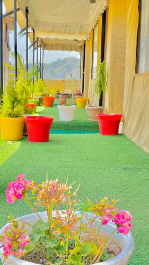 Natural pool - Bambooz Bel cottage and camps Kasauli (Kasauli)