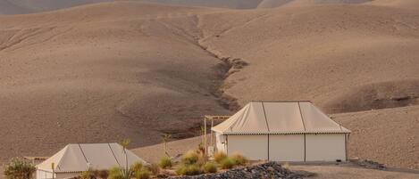 A desert landscape with tents and sparse vegetation.