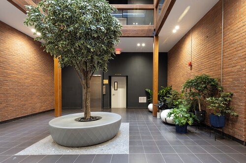 DTWN I Near Yale I King Beds I  Free Parking I Gym I Free Coffee I Pets Welcome!