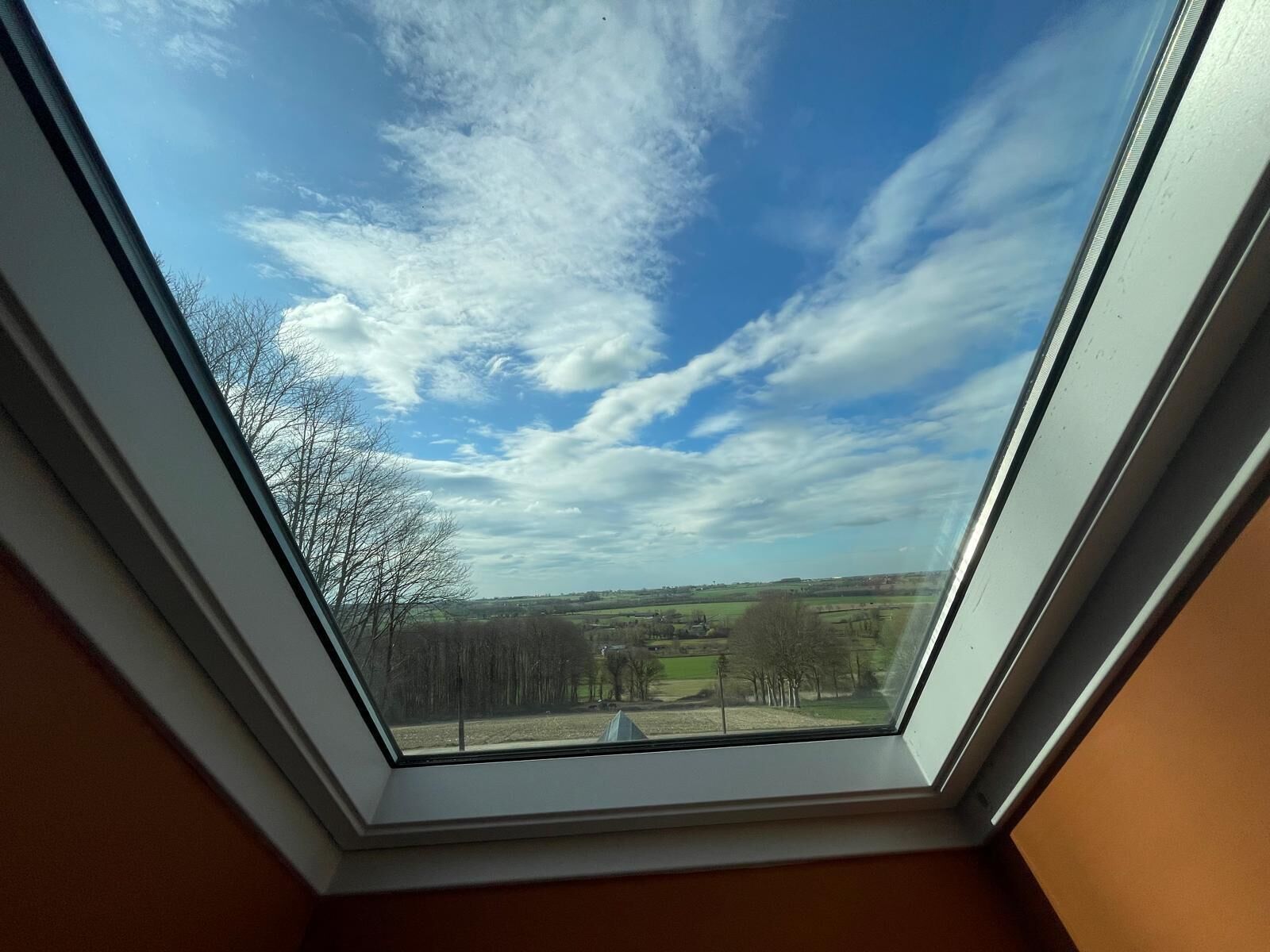 A skylight with a view of a rural landscape, including fields and trees.