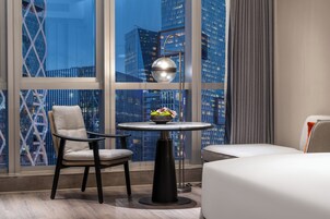 Executive Double Room Single Use | View from room