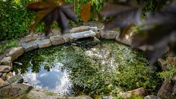 A pond surrounded by rocks and foliage.