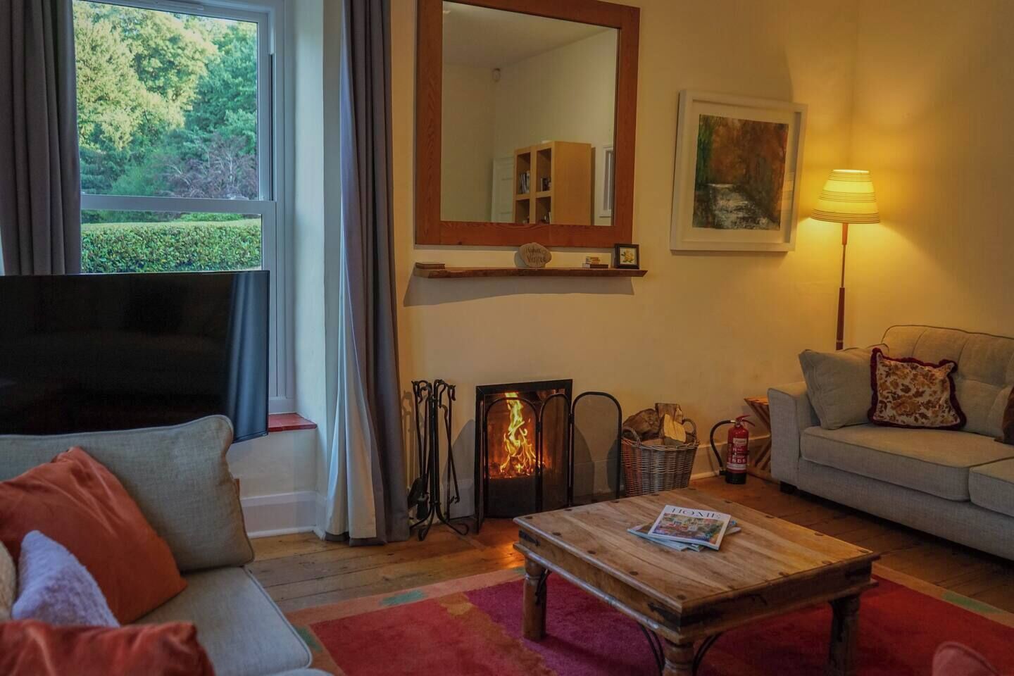 TV connectée, cheminée, lecteur de DVD