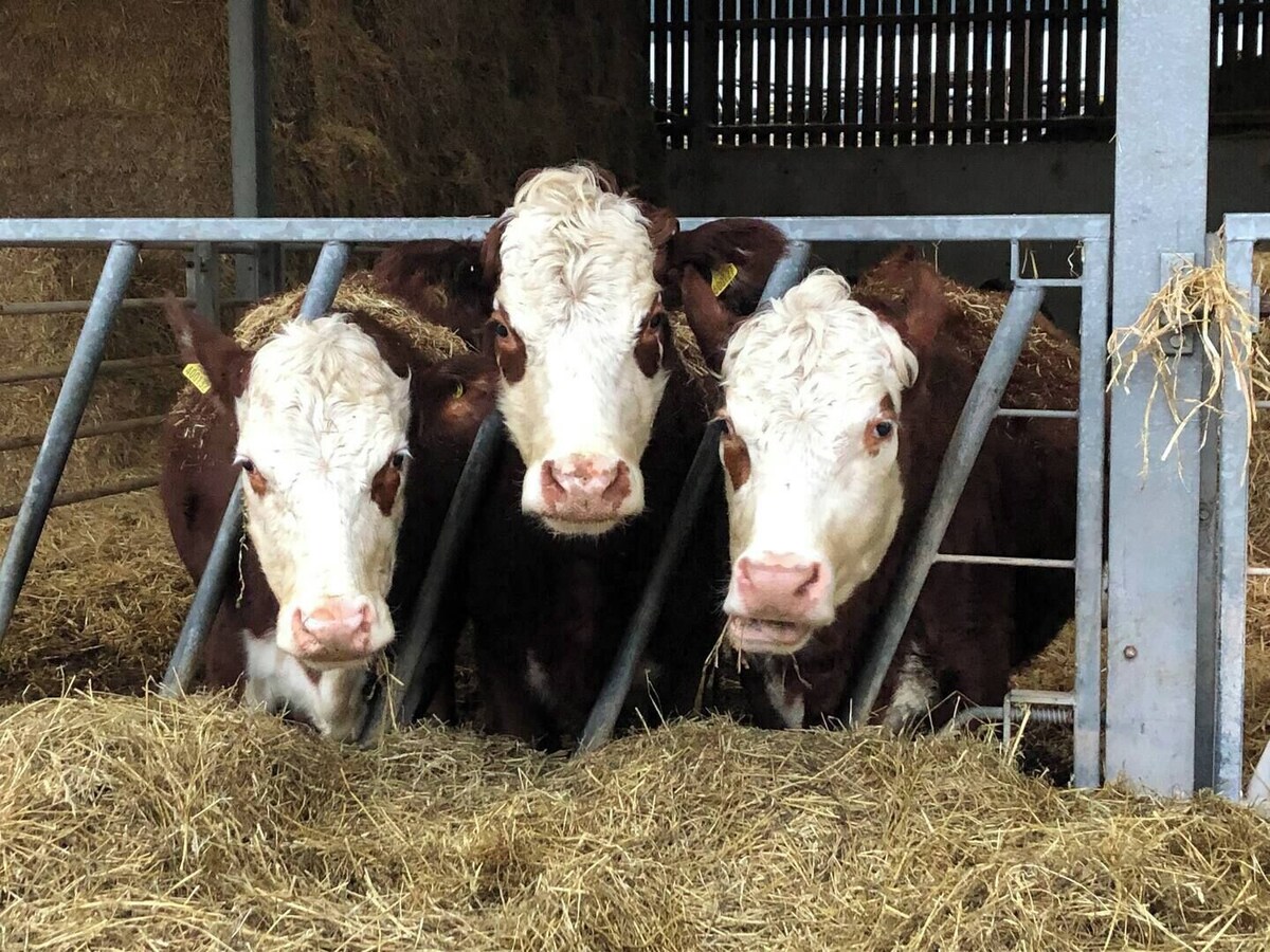 オーナーのプロフィール画像