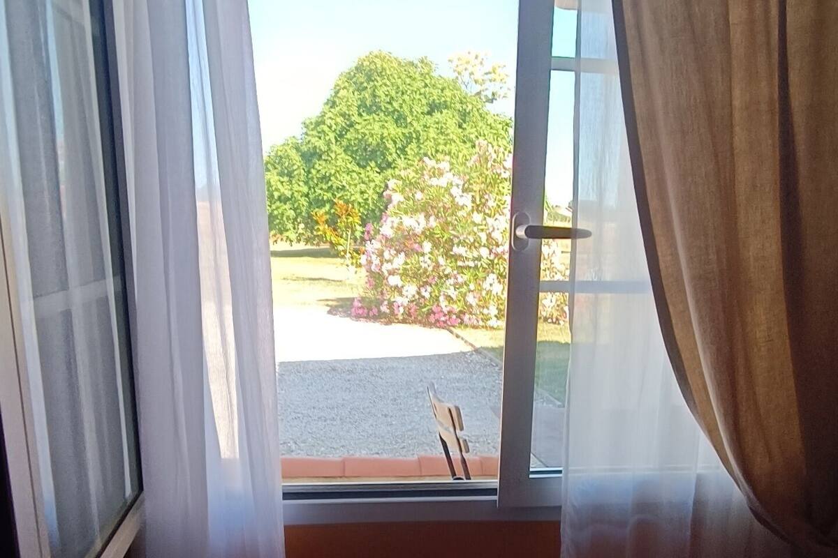A room with a large window, wooden floor, and curtains.