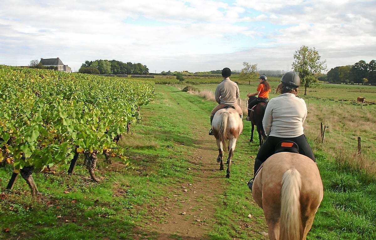 Un sentier traversant un vignoble, où l’on peut apercevoir des cavaliers.