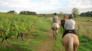 Un sentier traversant un vignoble, où l’on peut apercevoir des cavaliers.