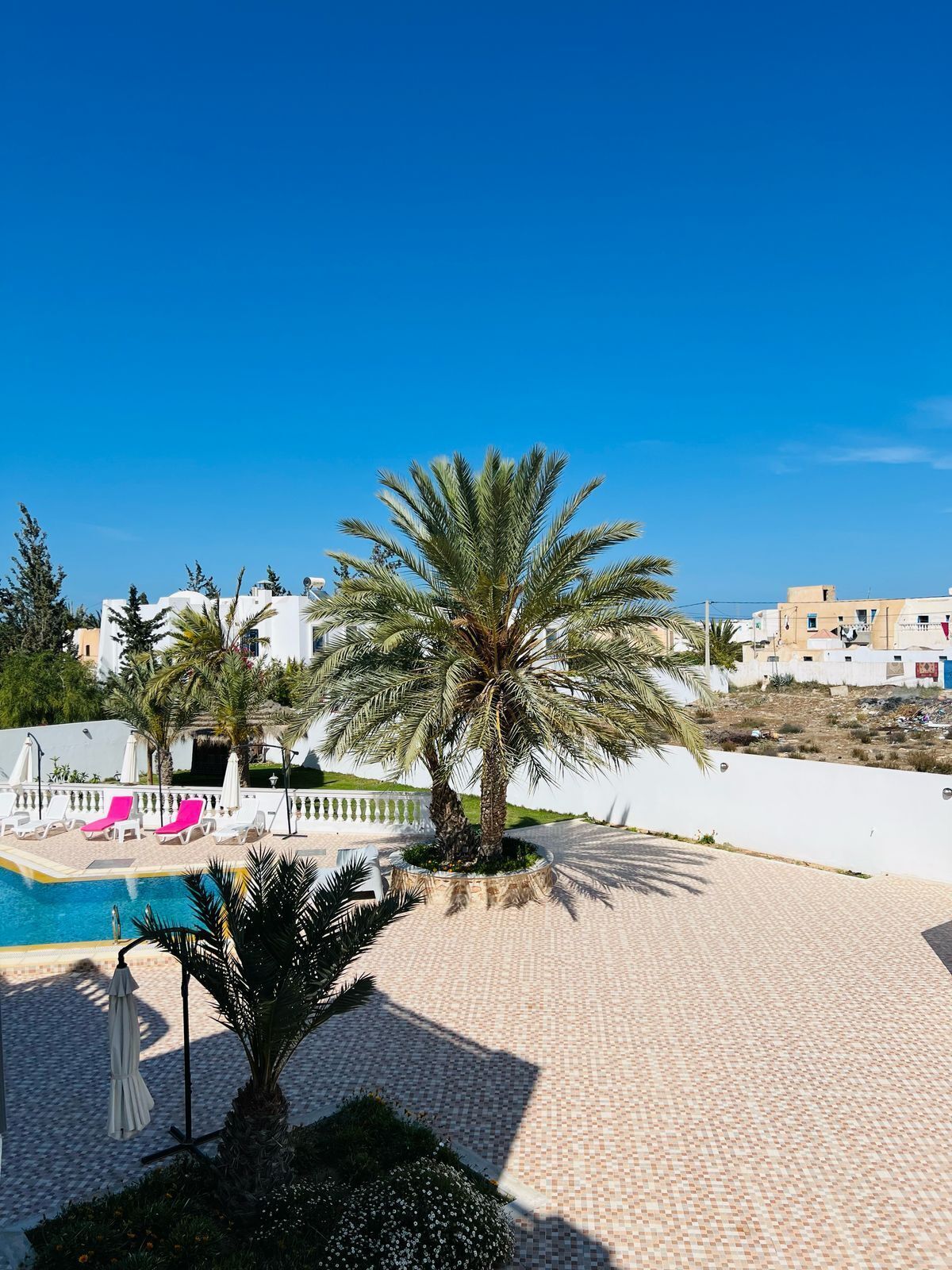 A pool area with palm trees, lounge chairs, and a clear blue sky.