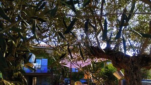 Une terrasse extérieure avec une table et des chaises en bois, entourée d’arbres et offrant une vue sur un bâtiment aux volets bleus.