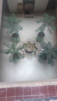 Pátio com uma fonte central, rodeado por quatro vasos de plantas.