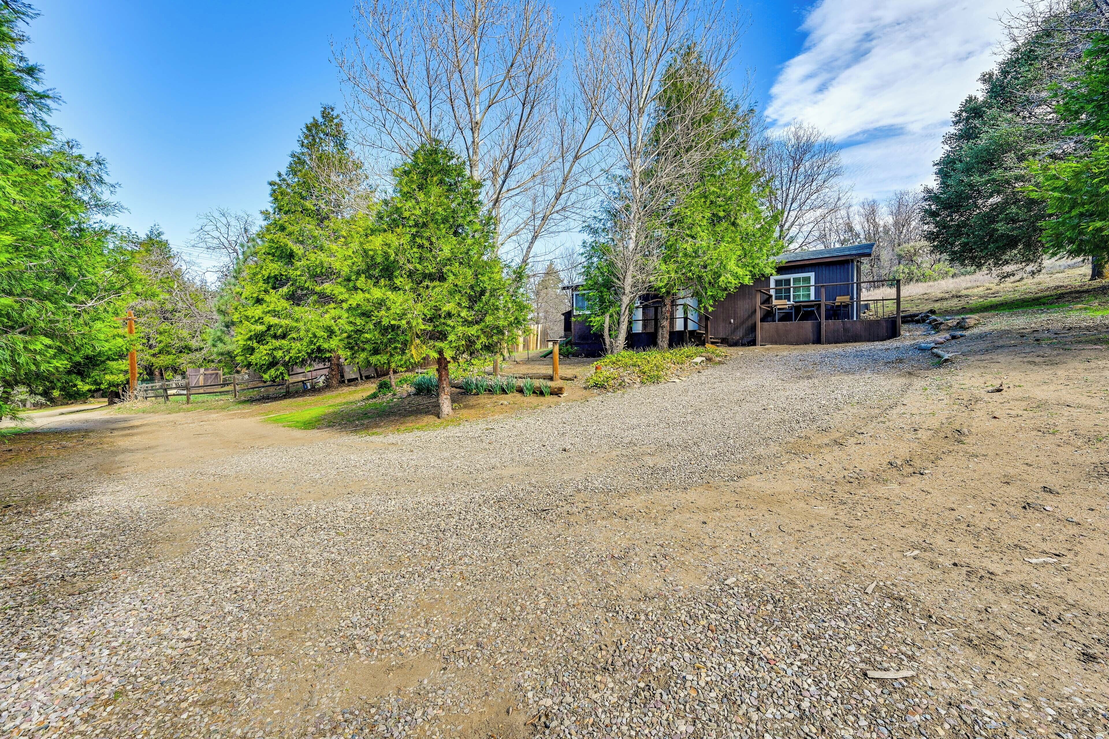 A gravel driveway leading to a cabin surrounded by trees.