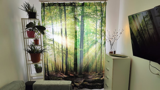 A room with a forest-themed curtain, a sofa, a cabinet, and a TV.