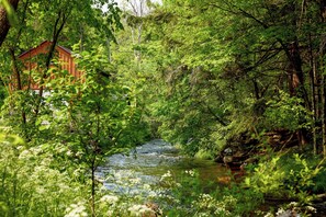 Un chalet rustique entouré d’une forêt dense et bordé d’une rivière aux eaux vives.