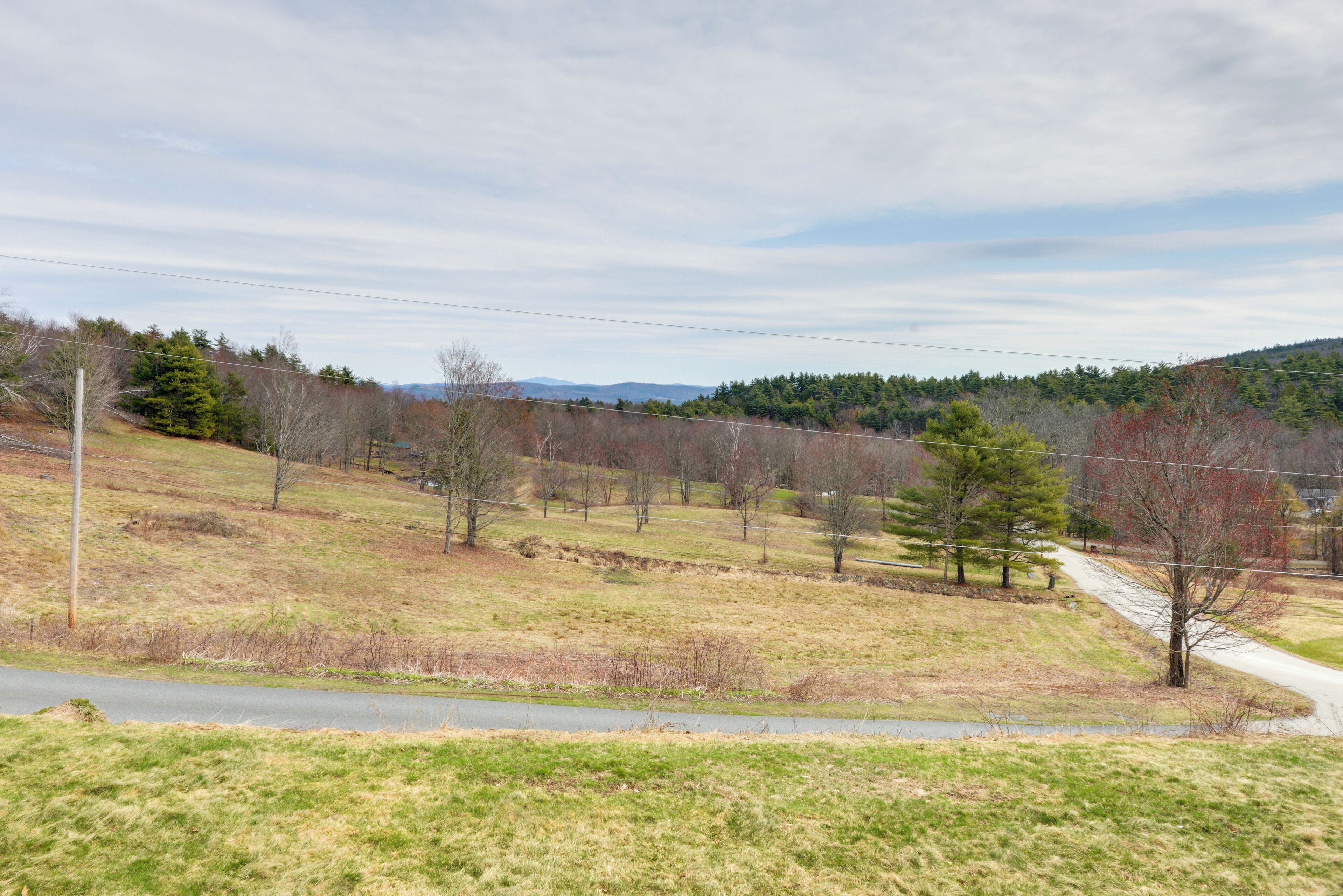 A rural landscape with a road, grassy fields, and trees.