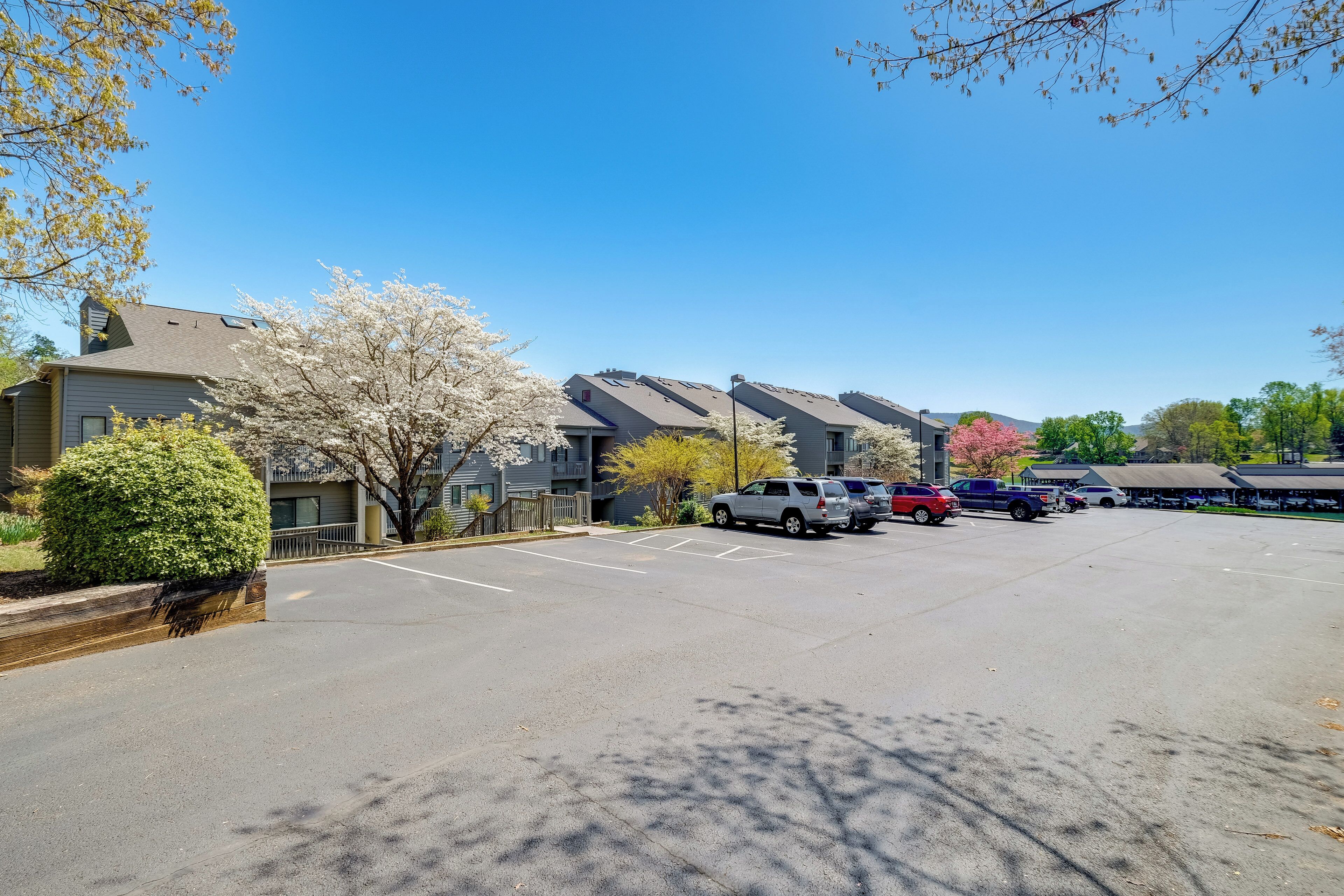 A parking lot with several cars, a row of houses, and blooming trees.
