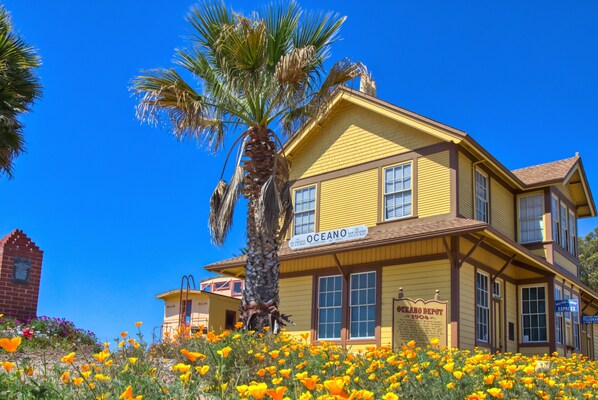 A yellow building with a sign reading "OCEANO" and "CRANNOY DEPT 1904".