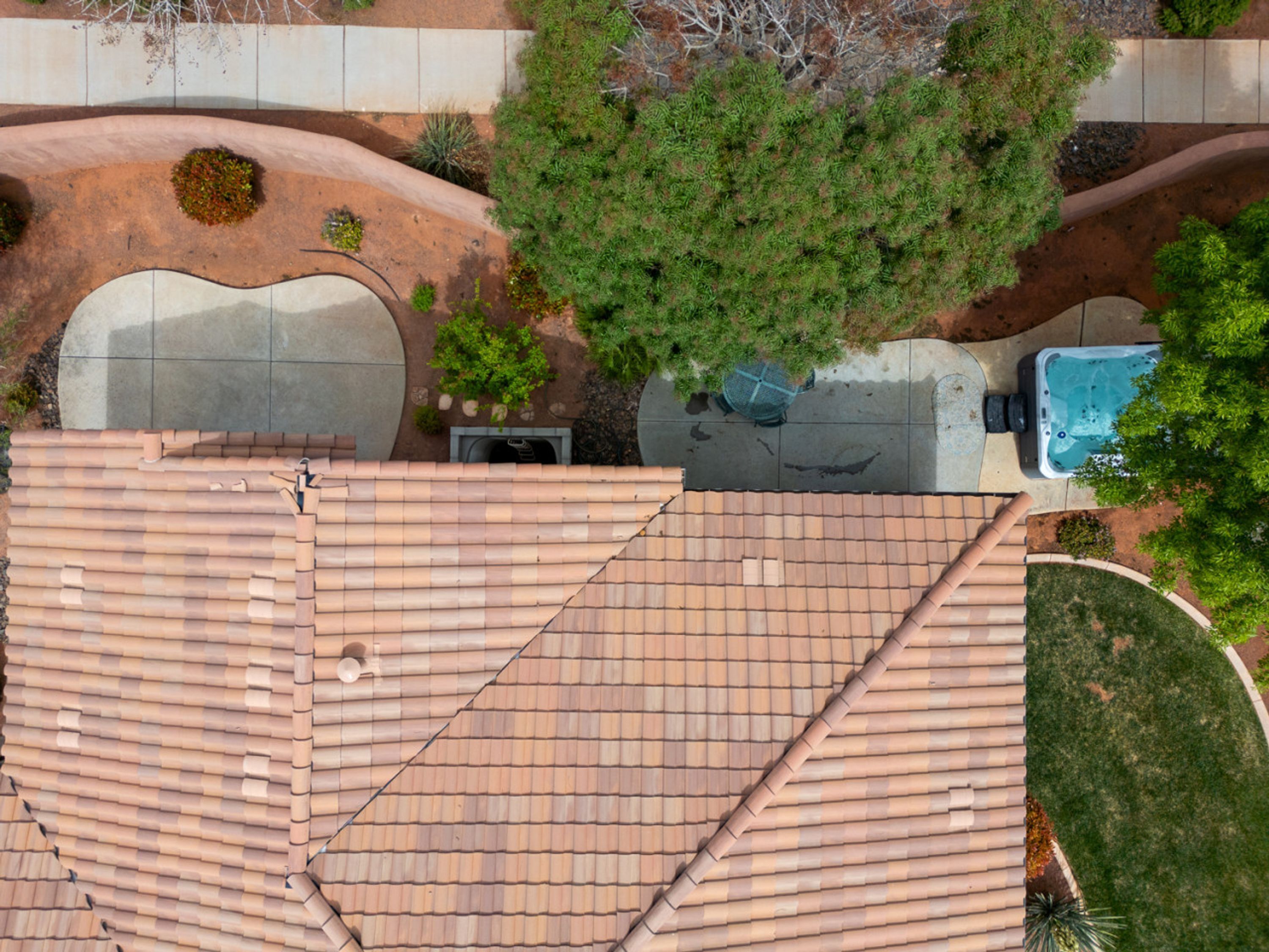 Un toit-terrasse avec un toit en tuiles, une piscine et un grand arbre.