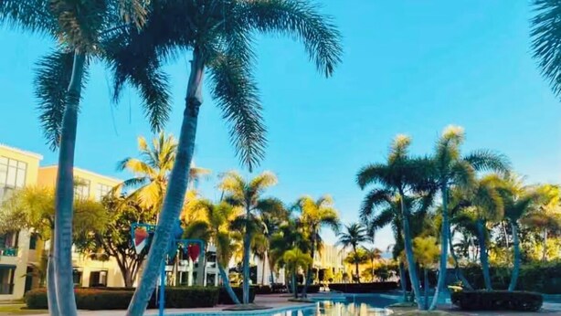 Área de piscina com palmeiras e um edifício ao fundo.