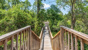 Un pont en bois, doté de garde-corps, est entouré d’un feuillage verdoyant et luxuriant.