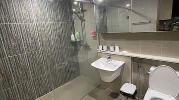 Hair dryer, towels, soap, toilet paper