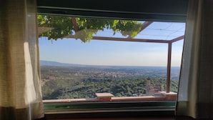 A window with a view of a cityscape, including buildings and greenery.