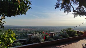 A rooftop terrace with a view of a cityscape, surrounded by greenery and potted plants.