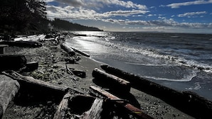 A beach with driftwood and rocks, a clear sky, and the ocean. - Stunning waterfront apartment - wake up and fall asleep listening to the ocean (Delta)