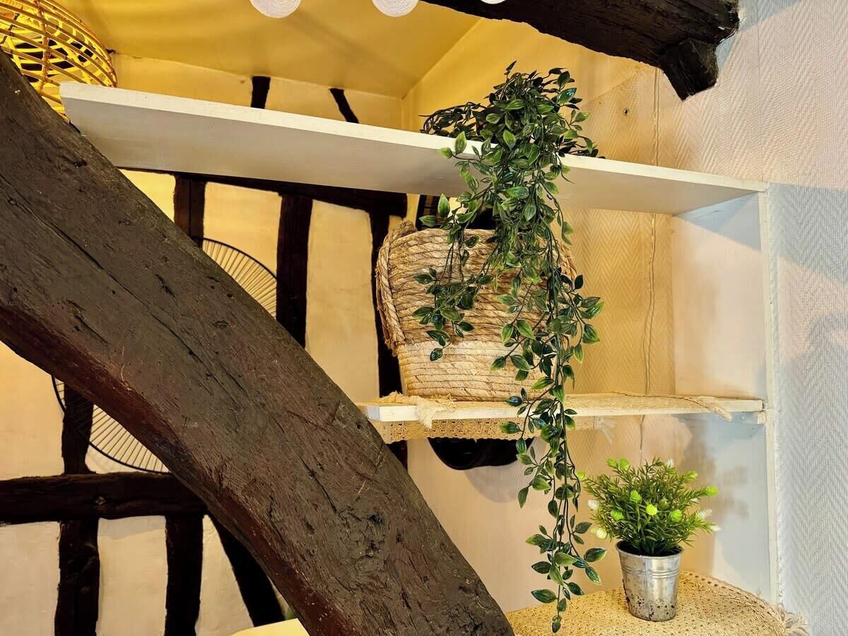 Un intérieur rustique avec des poutres apparentes, une étagère en osier et une plante en pot.