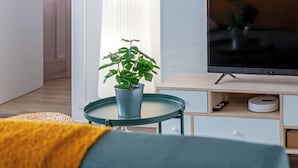 Un salon avec un téléviseur, une plante en pot et une petite table ronde.
