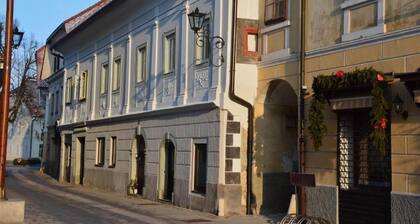 Apartment with Mountain View!