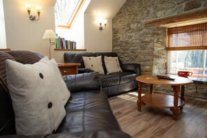 Smart TV, fireplace, DVD player, books