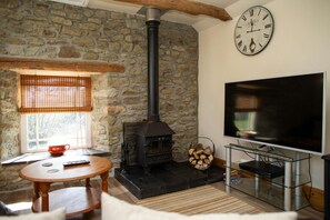 Smart TV, fireplace, DVD player, books