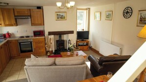 Una sala de estar acogedora con sofá, chimenea, televisor y una zona de cocina con armarios de madera y electrodomésticos.