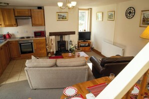Smart TV, fireplace, DVD player, books