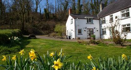 Cuckoo Springs Cottage, Aberporth