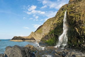 Miscellaneous - Orchid Cottage, Aberporth (Aberporth)