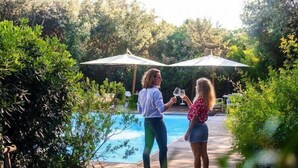 Dos personas junto a una piscina, con sombrillas y follaje al fondo.