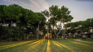 Un espacio verde con árboles y un camino que lleva a un edificio.