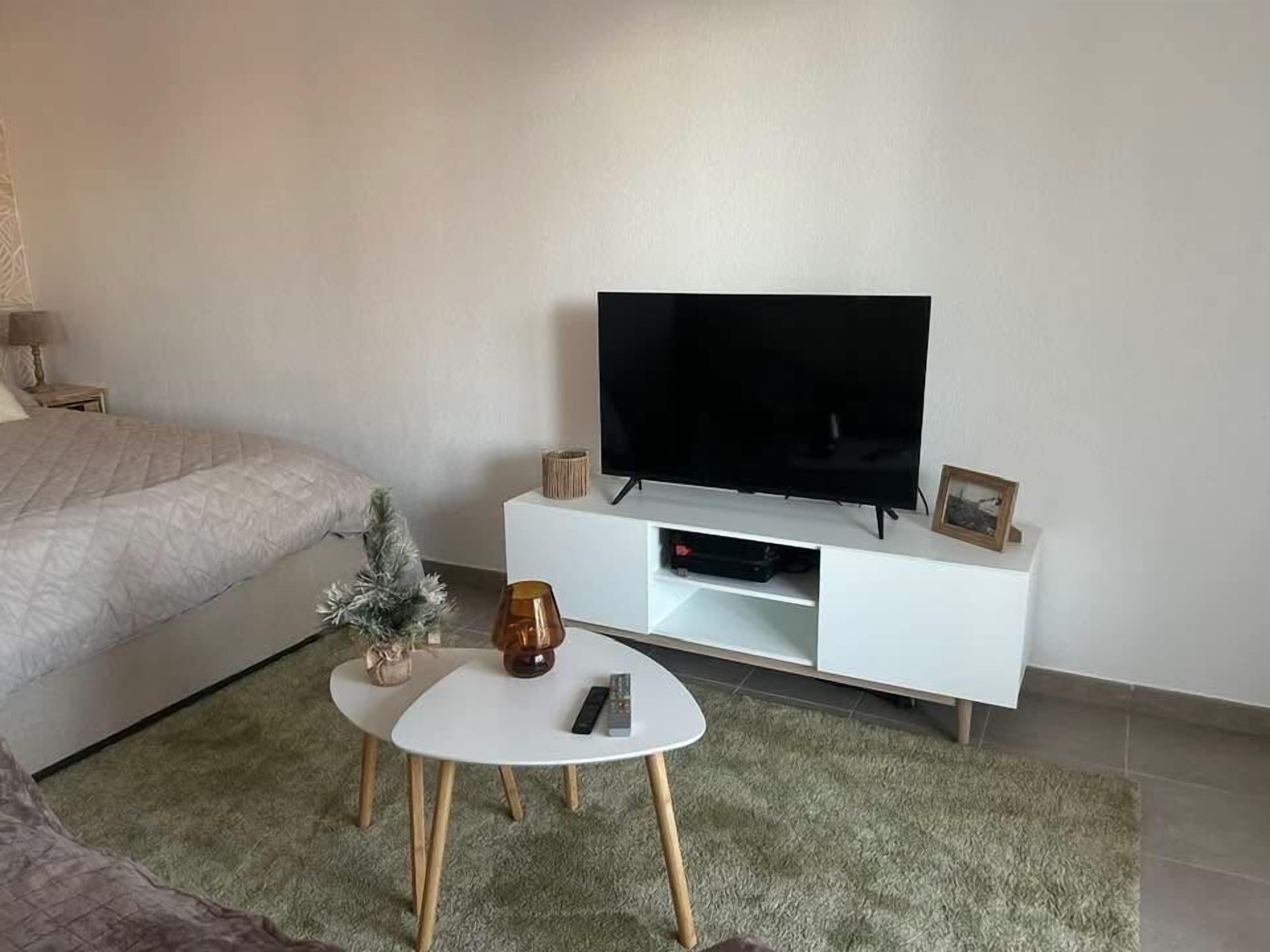 Une chambre à coucher avec un lit, un téléviseur posé sur un meuble blanc, une petite table avec un vase et une télécommande, et une moquette verte.