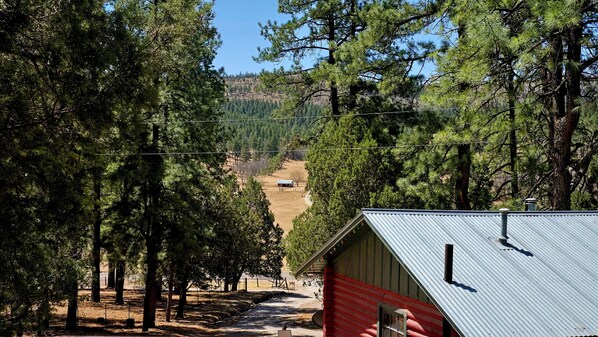 A red building with a corrugated metal roof, surrounded by tall pine trees.