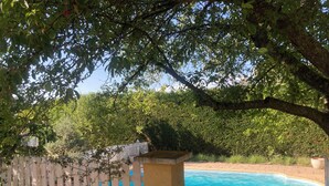 Una piscina rodeada por una valla de piquetes blancos y abundante vegetación.
