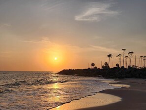 Cena de praia com o sol se pondo sobre o oceano, um trecho de costa rochosa e palmeiras.