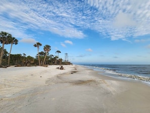 A beach with a clear sky, palm trees, and a sandy shore.