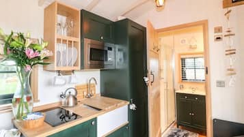 Cabin | Private kitchen | Fridge, microwave, stovetop, electric kettle